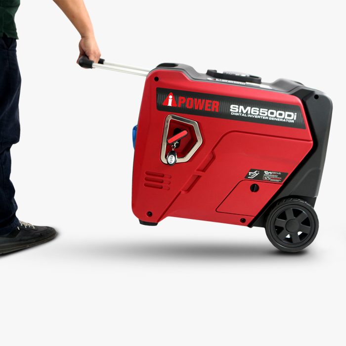 SM6500DiWEB01